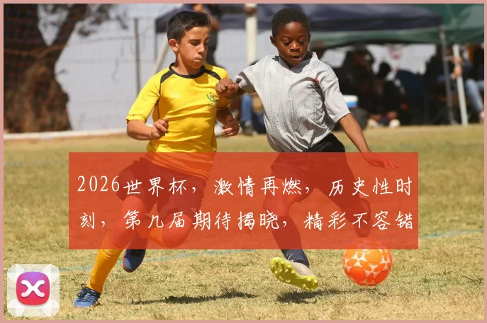 2026世界杯，激情再燃，历史性时刻，第几届期待揭晓，精彩不容错过