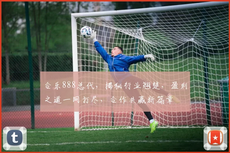 合乐888总代，揭秘行业翘楚，盈利之道一网打尽，合作共赢新篇章