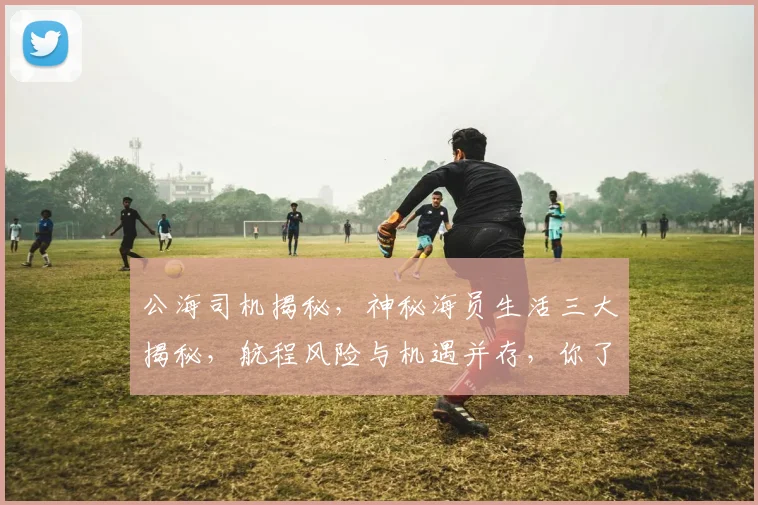 公海司机揭秘，神秘海员生活三大揭秘，航程风险与机遇并存，你了解多少